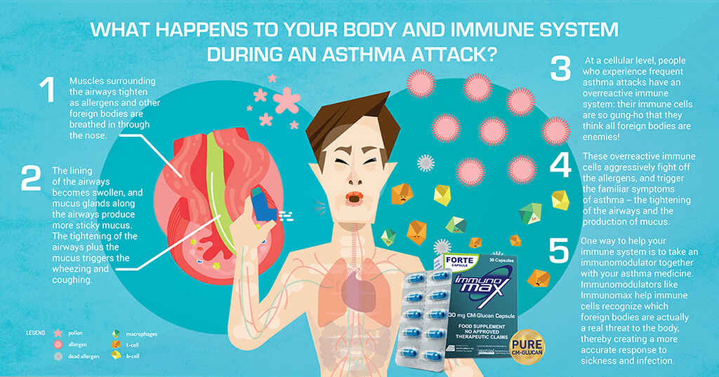 This is what happens to your immune system during an asthma attack